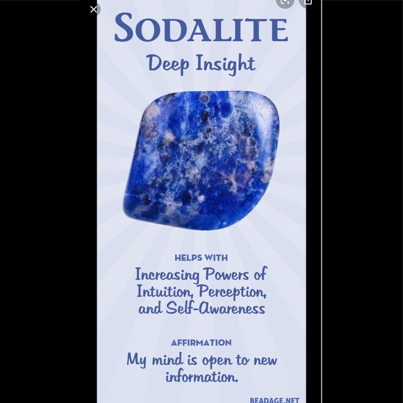 Sodalite Earrings - Picture 7 of 9